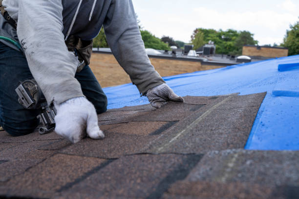Best New Roof Installation  in Thompson Falls, MT