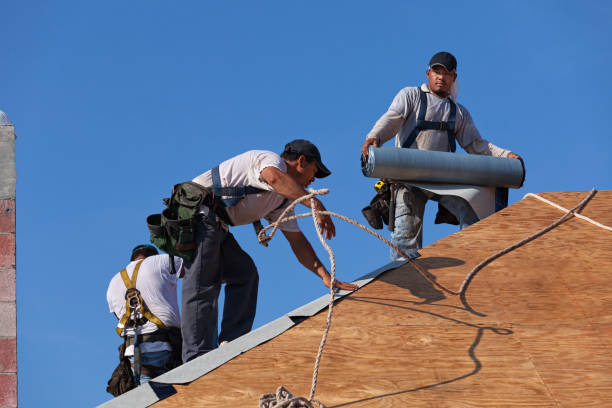 Best Roof Gutter Cleaning  in Thompson Falls, MT