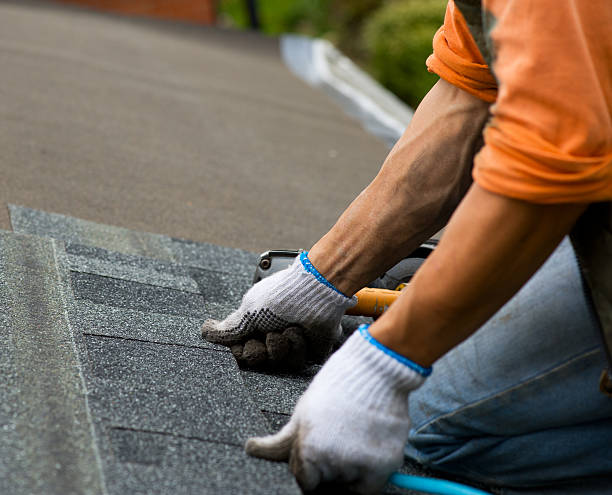 Best Flat Roof Repair Services  in Thompson Falls, MT