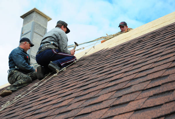 Best Best Roofing Contractors  in Thompson Falls, MT